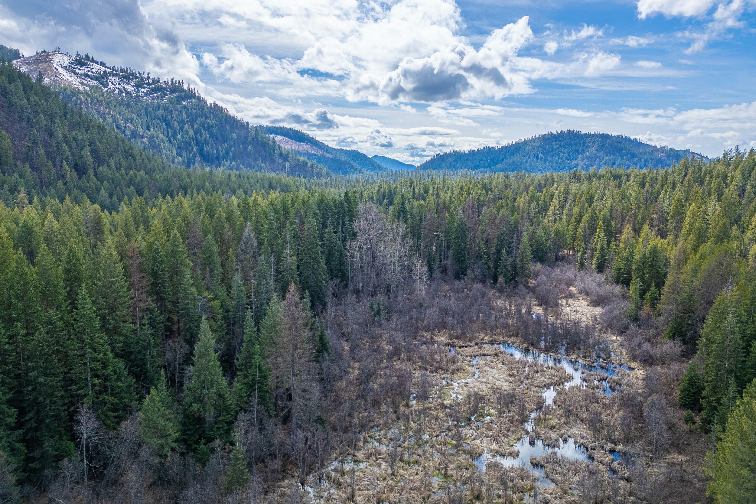 Property Photo: 41xxx Grouse Creek Rd WA 99148