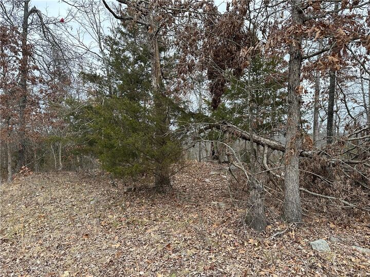 Property Photo: Lot 4 Deer Meadows Lane AR 72687