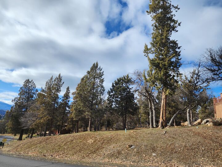 Property Photo: Coopers Hawk 259 OR 97601