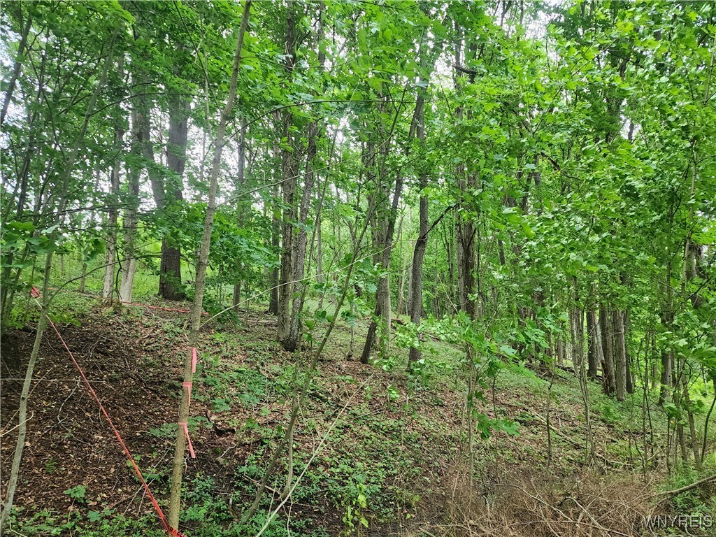 Property Photo: V/L Hencoop Hollow Road NY 14731