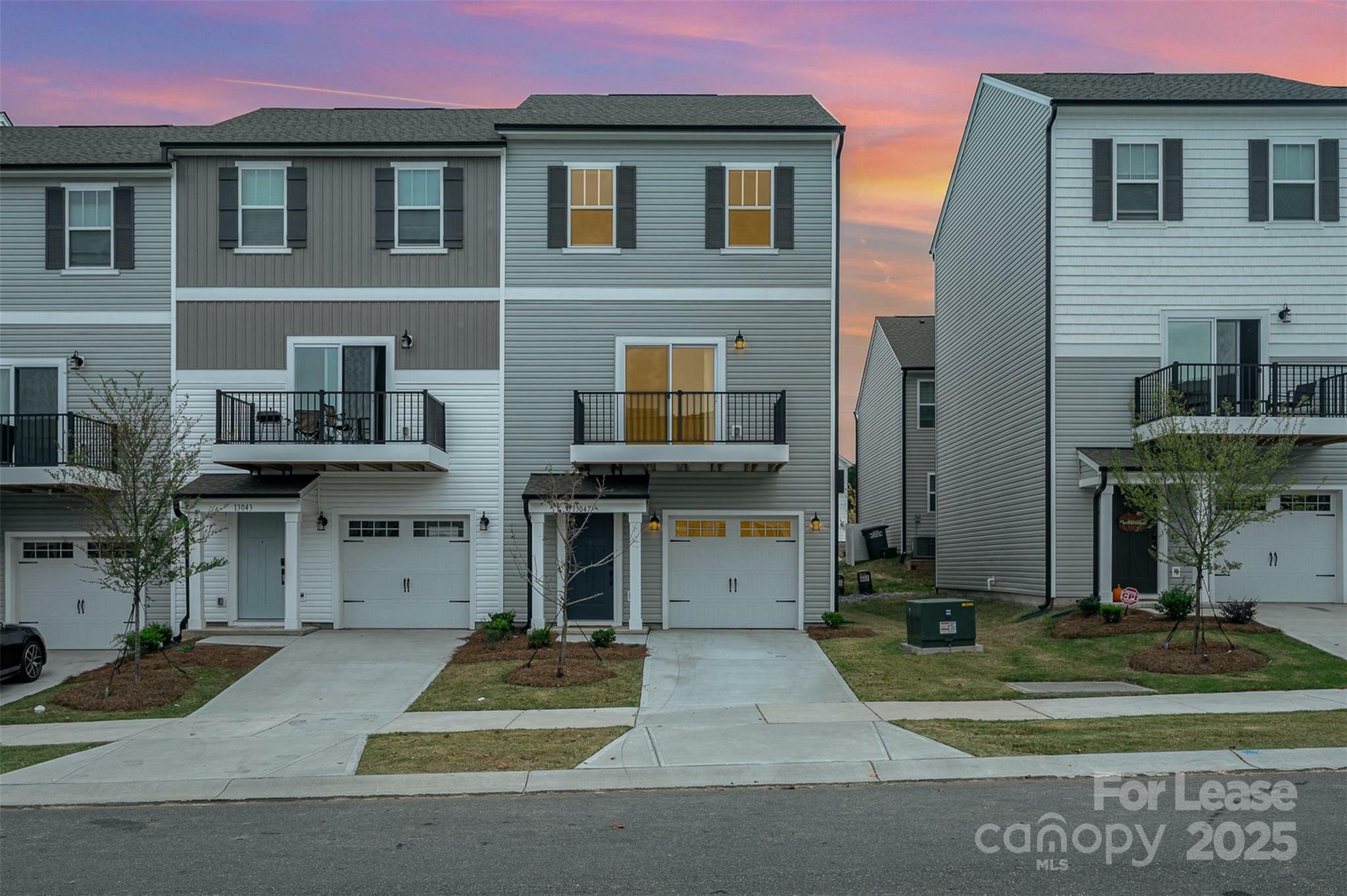 Property Photo: 13047 Gadwal Pintail Drive NC 28262
