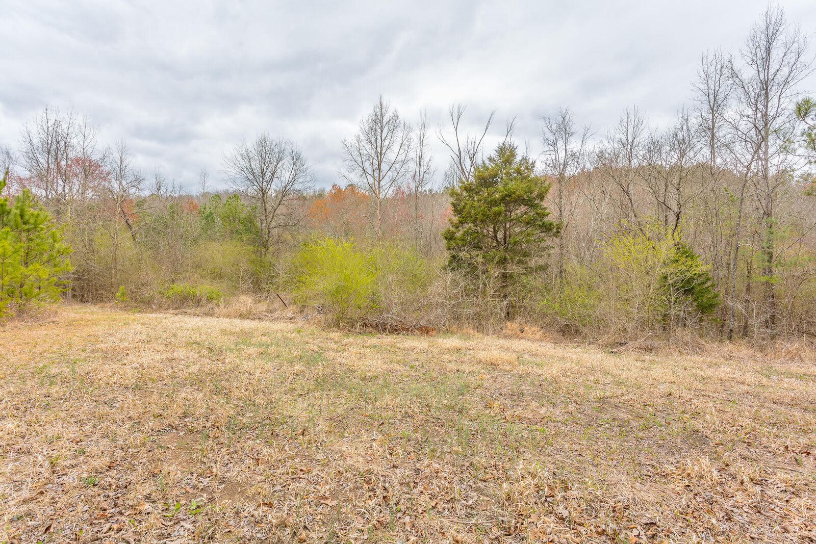 Property Photo:  00 E Armuchee East Road  GA 30728 