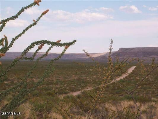 Property Photo:  Tbd Wonder Ranch 63 1/2 Sec 22 Psl  TX 79851 