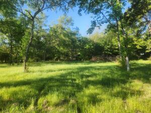 Property Photo: Tract 4 Castleberry Lane AR 72846