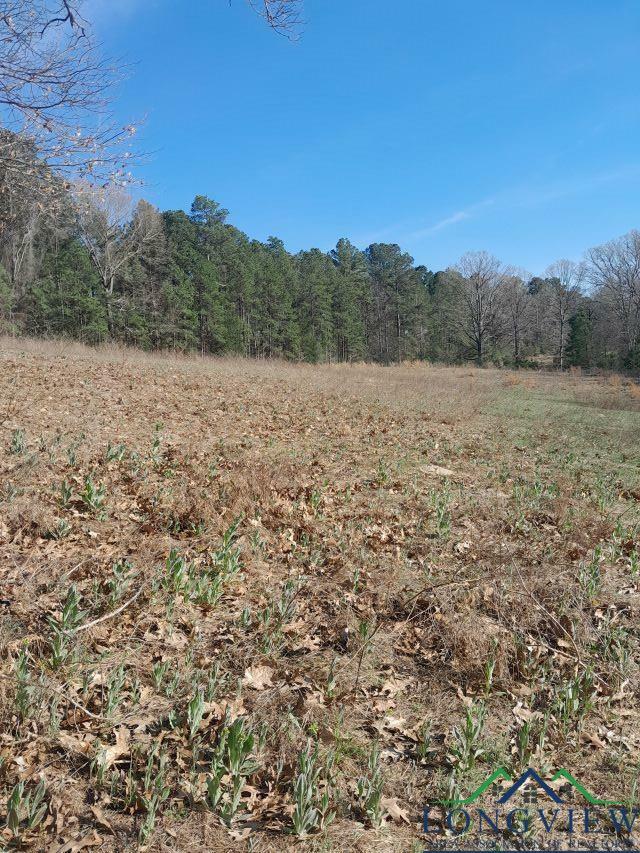 Property Photo: 8438 Cr 373 D TX 75654