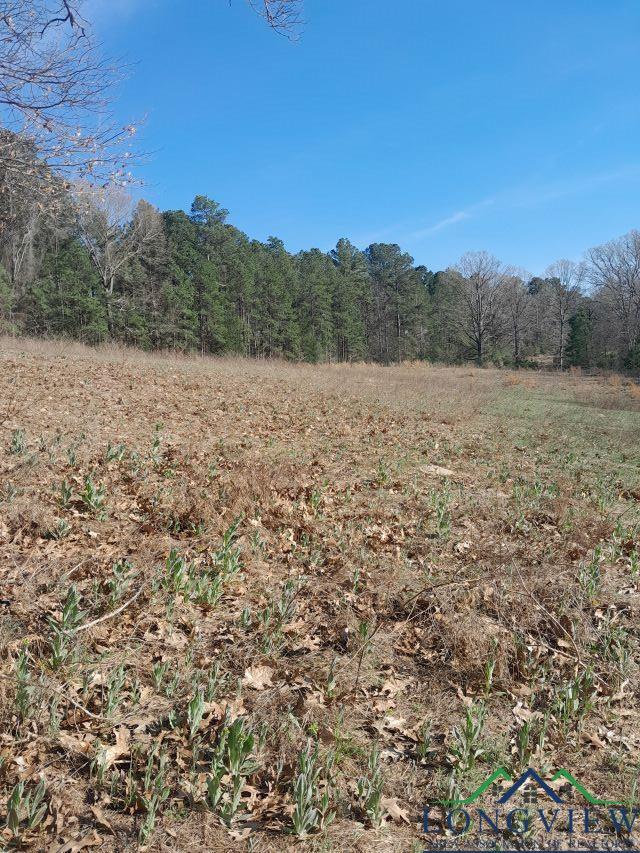 Property Photo: 8438 Cr 373 D TX 75654