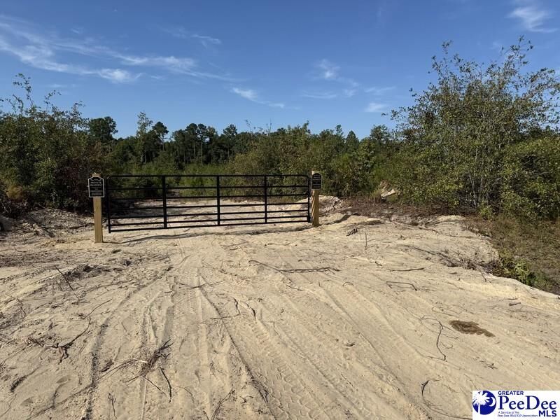 Property Photo:  Tract 1 Hallelujah Rd  SC 29727 
