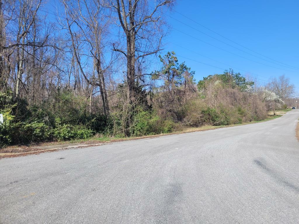 Property Photo: Main St VA 23974