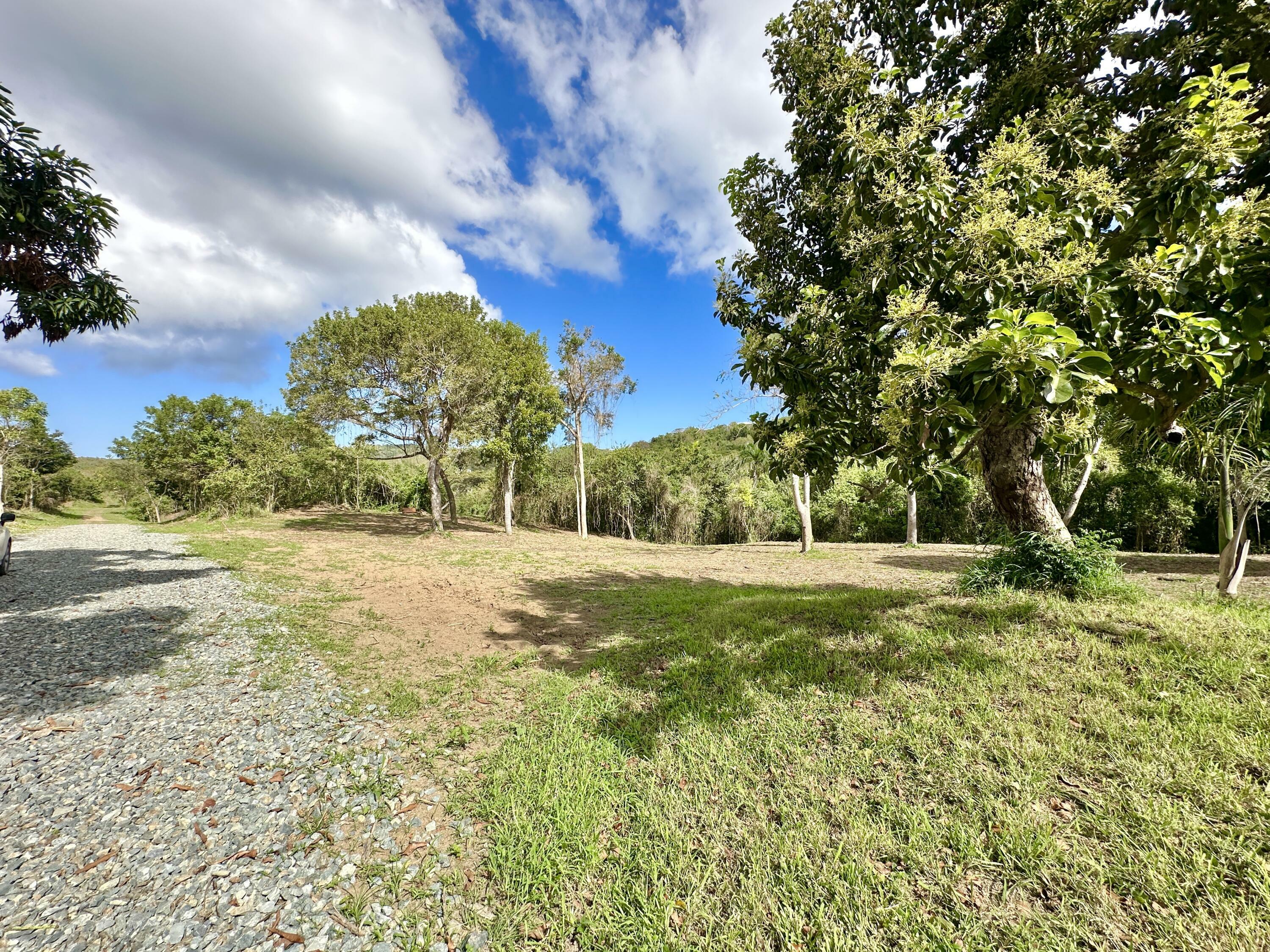 Property Photo: 9-B1 Montpellier Pr VI 00840