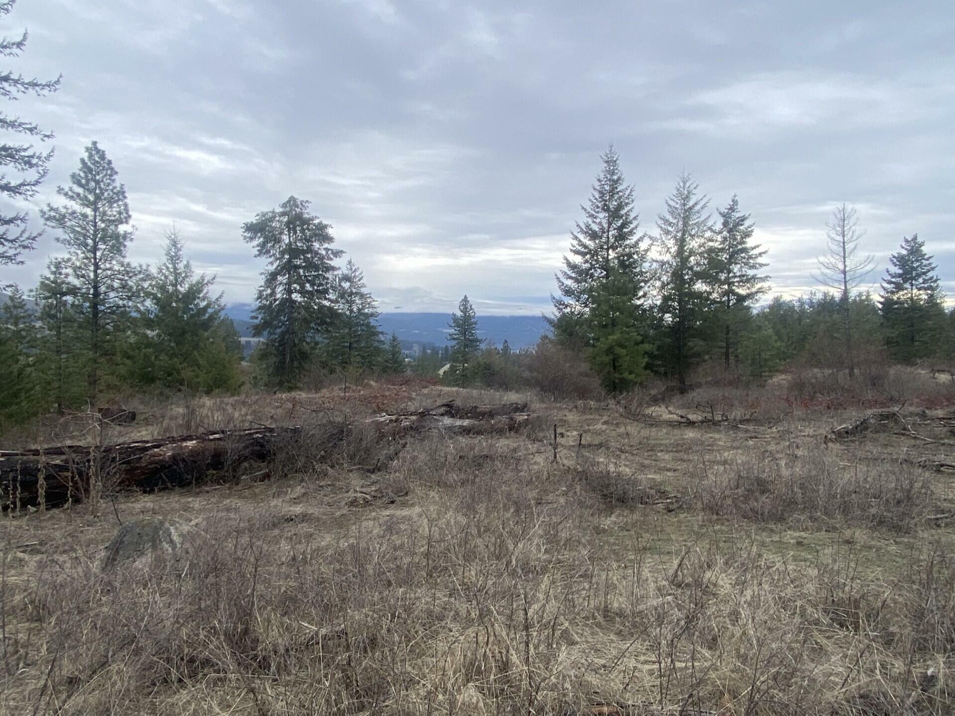 Tract 2 Cowboys And Angels Ave  Kettle Falls WA 99141 photo