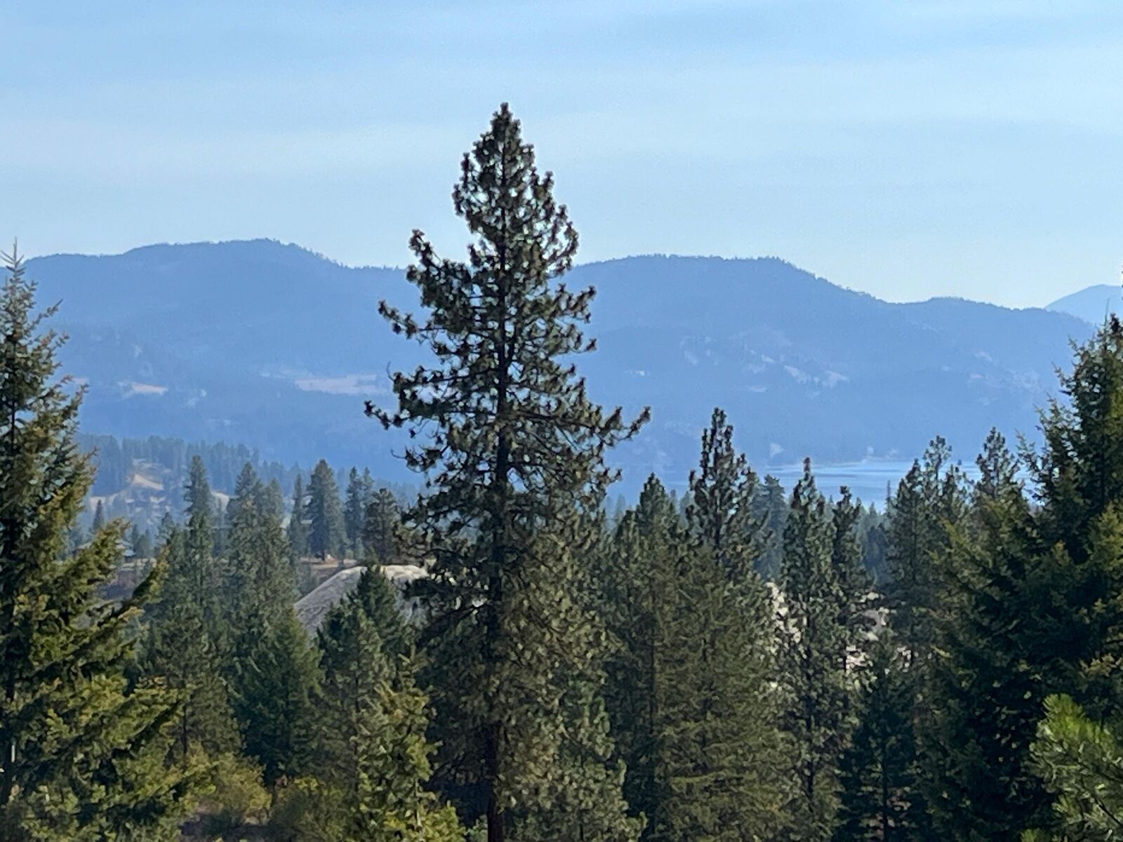 Property Photo:  Tract 2 Cowboys And Angels Ave  WA 99141 
