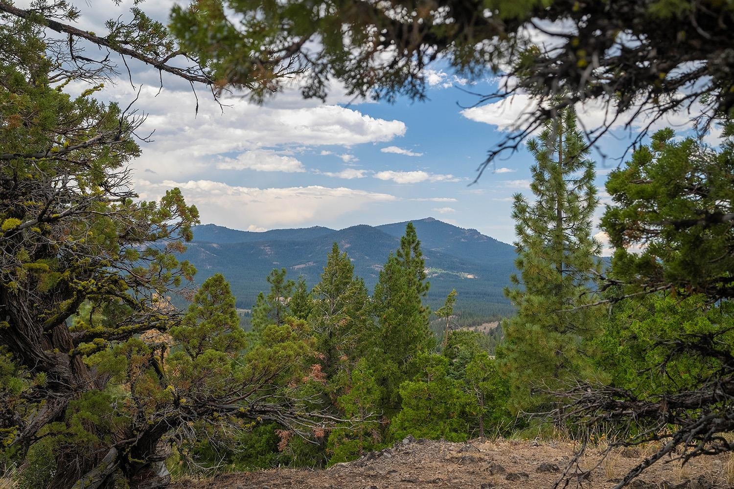 Property Photo: 321 Eagles Nest CA 96161