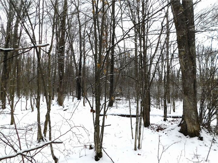 Property Photo:  80 Acres Off Of County Road O  WI 54459 