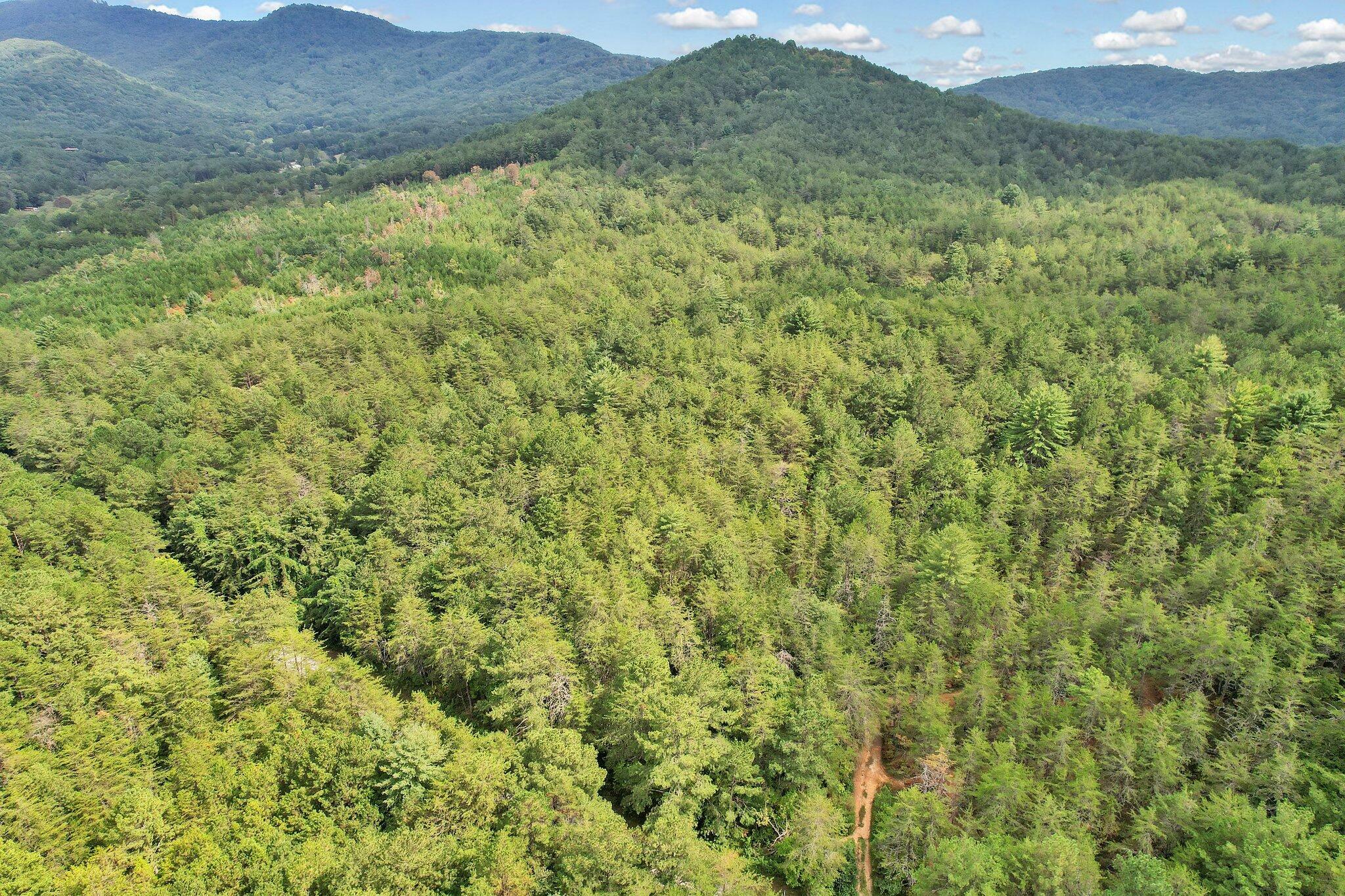 00 Golf Course Road  Copperhill TN 37317 photo