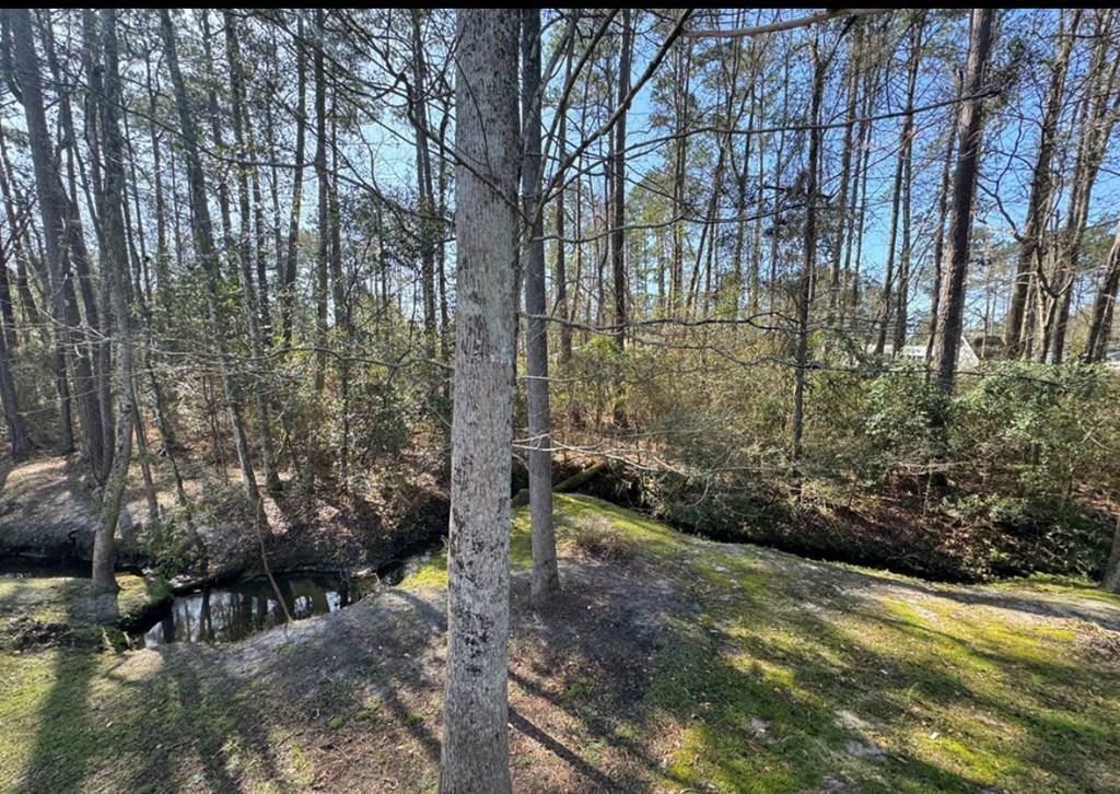 Property Photo: 129 Eagles Landing Dr GA 31792