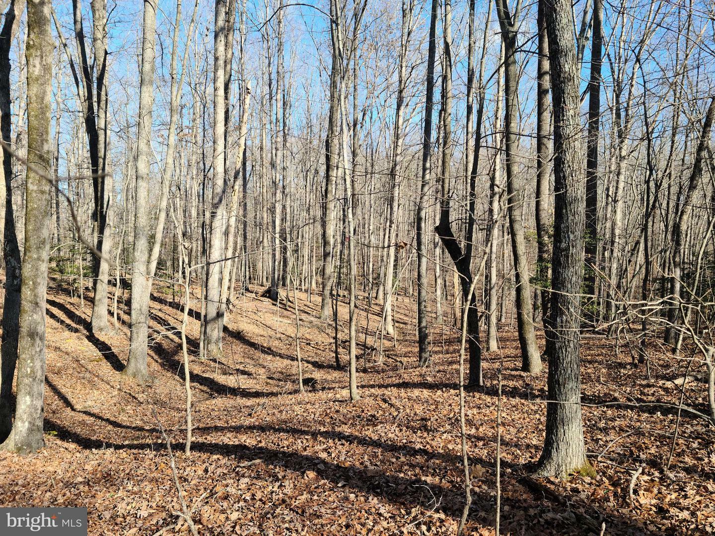 Property Photo: 9321 Bellwood Drive VA 22407
