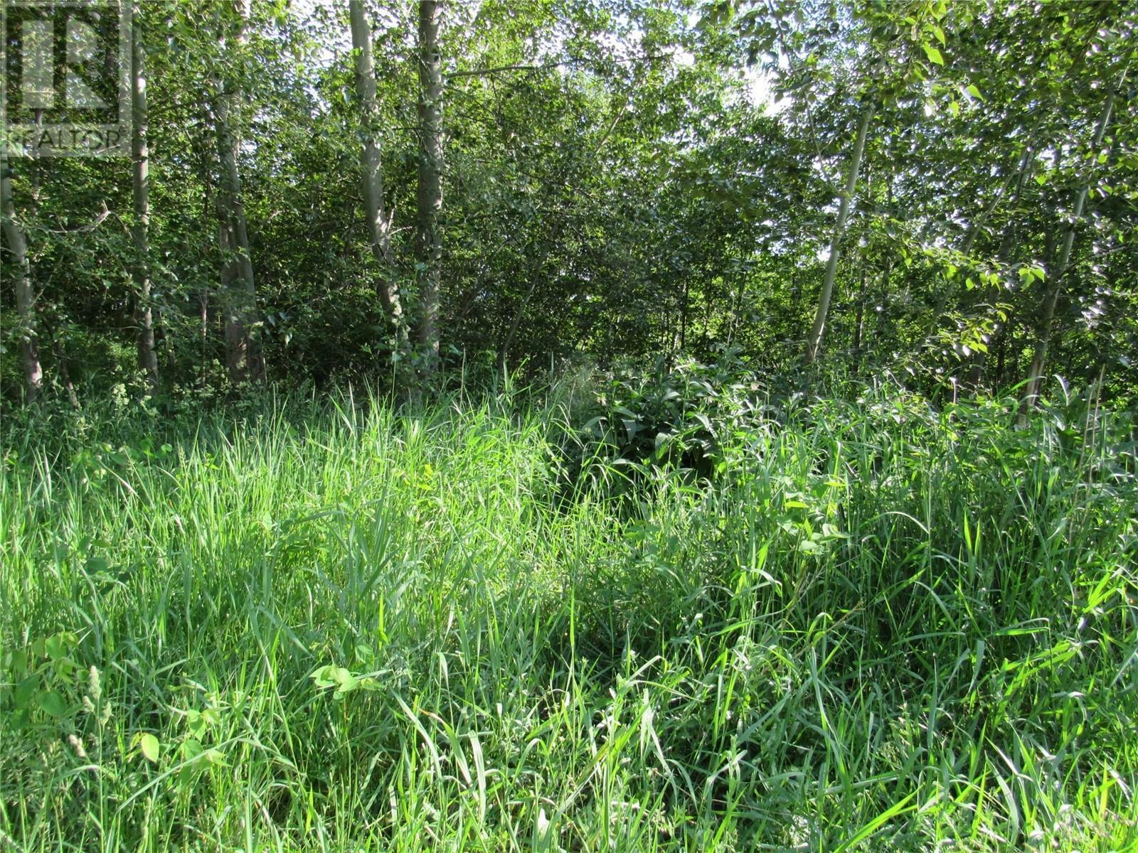 Photo de la propriété: 2073 Raspberry Road BC V0G 1X0