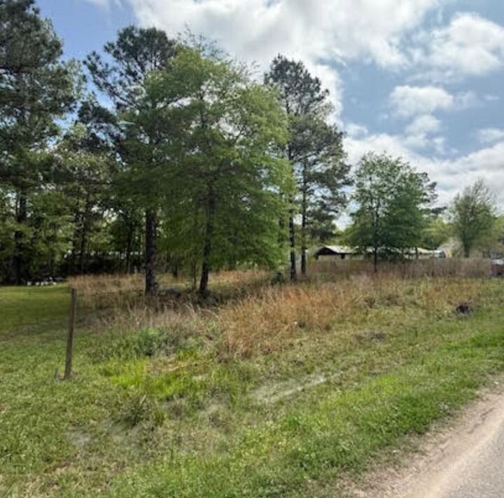 Property Photo: 305 County Road 3419 TX 77327