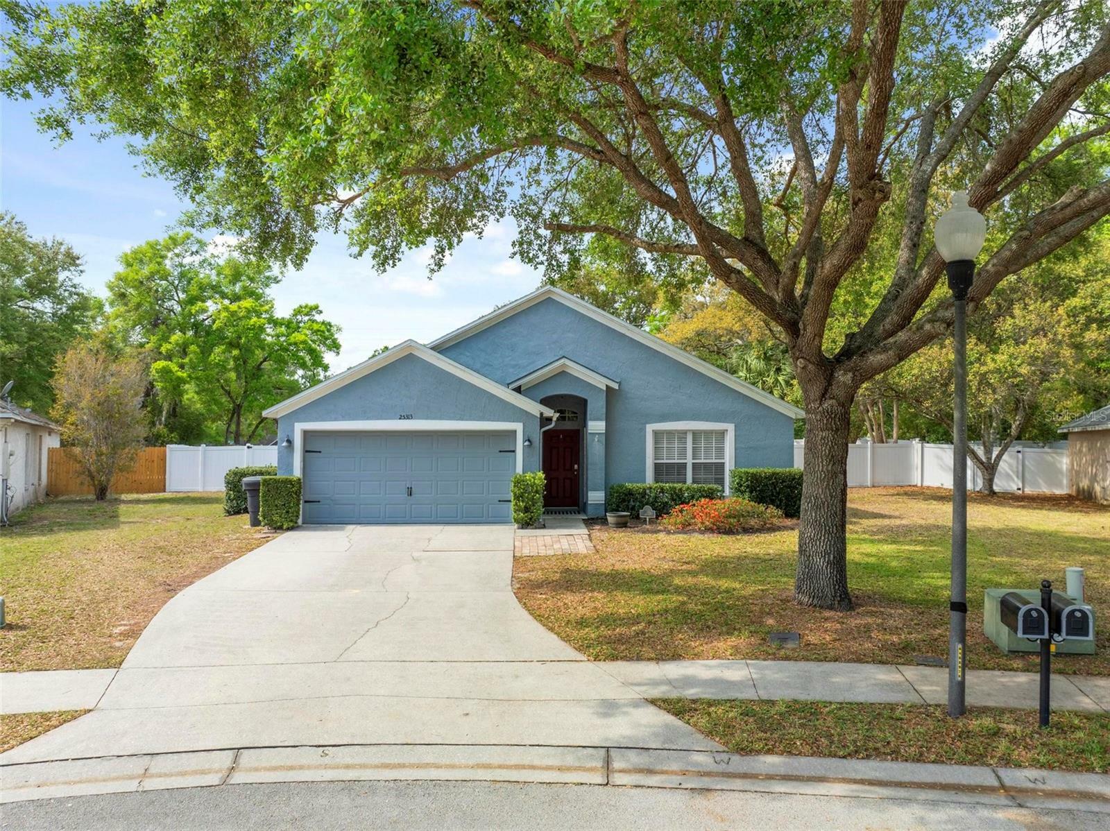 Property Photo: 25313 Ironwedge Drive FL 32776