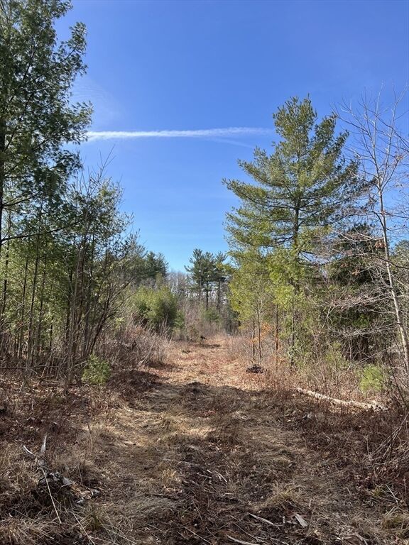 Property Photo:  Lot 5A Munsell Street  MA 01007 