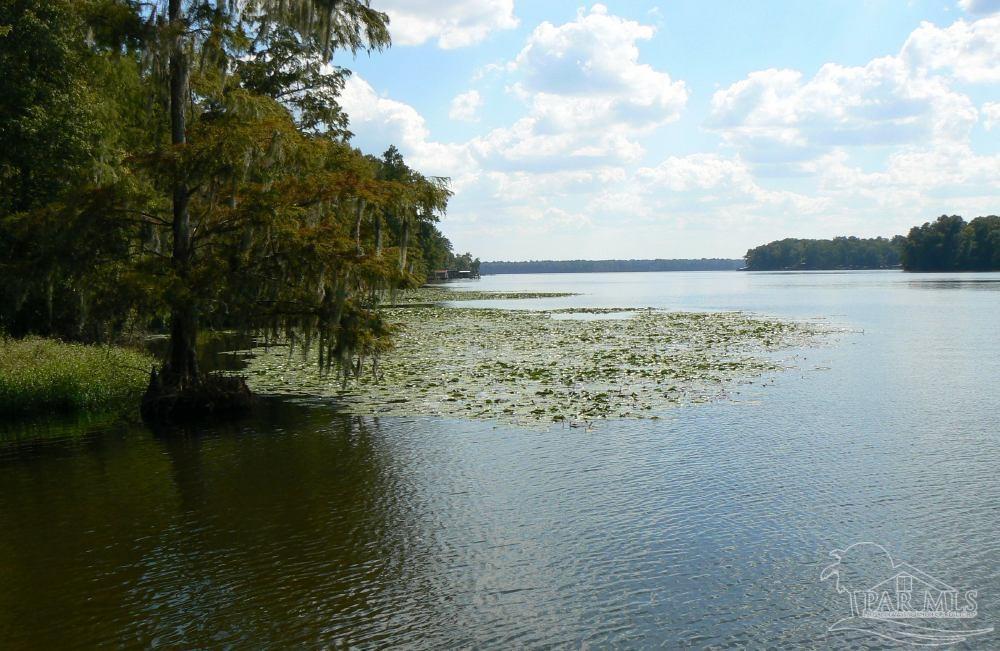 Property Photo:  00 Farley  Ln 10th Ave  FL 32310 