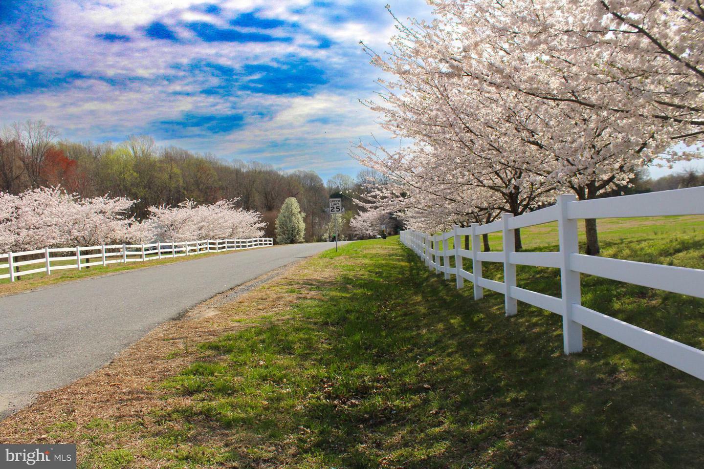 Property Photo: 745 Monarch Lane MD 20639