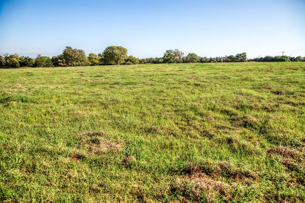 Property Photo: 000 Fm 389 TX 77835
