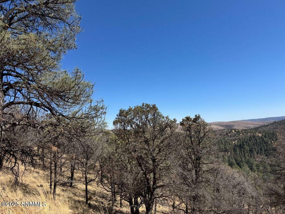 Property Photo:  106 Edgewview Court  NM 88312 