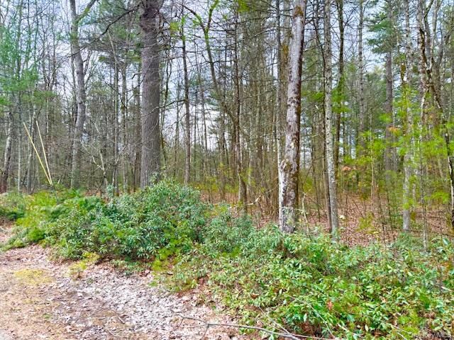 Property Photo:  Lot 34 Pine Kill Road Pine Kill Road  NY 12790 