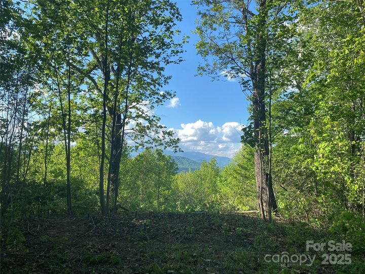 1099 Mitchell View Drive 915/915A  Old Fort NC 28762 photo