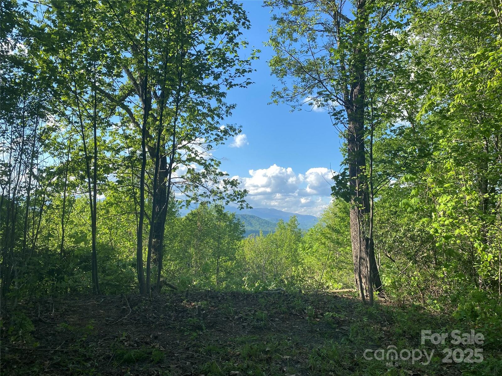 Property Photo: 1099 Mitchell View Drive 915/915A NC 28762