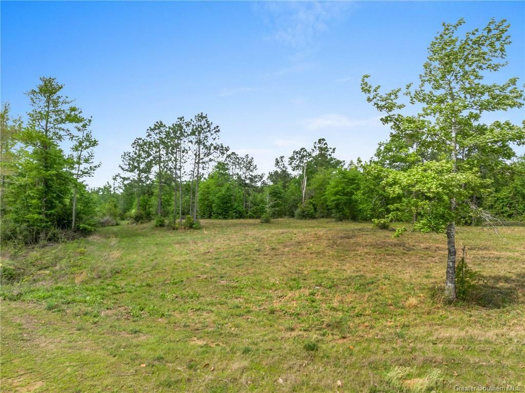0 Coffey Farms Road  Lake Charles LA 70611 photo