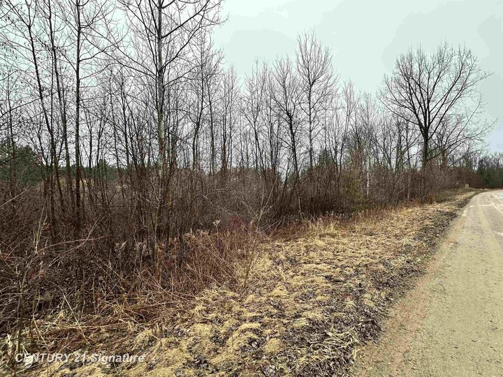 4019 Bay Avenue  Beaverton MI 48612 photo