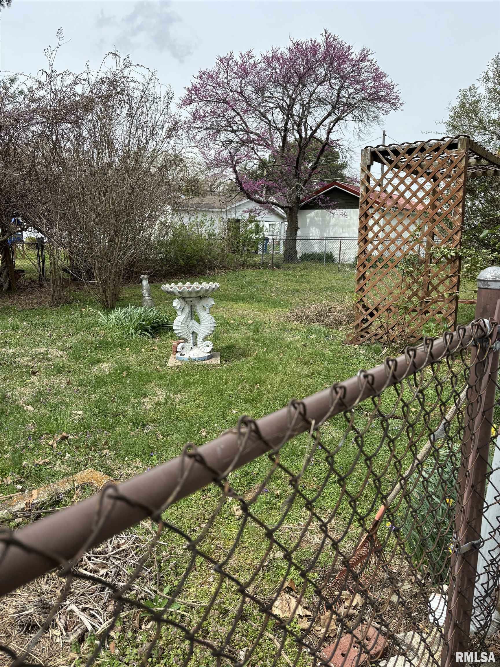 Property Photo: 303 S Emma Street IL 62822