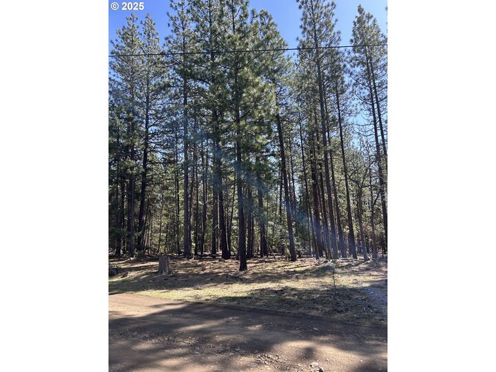 Property Photo: Lot 4 Thompson Trail WA 98620