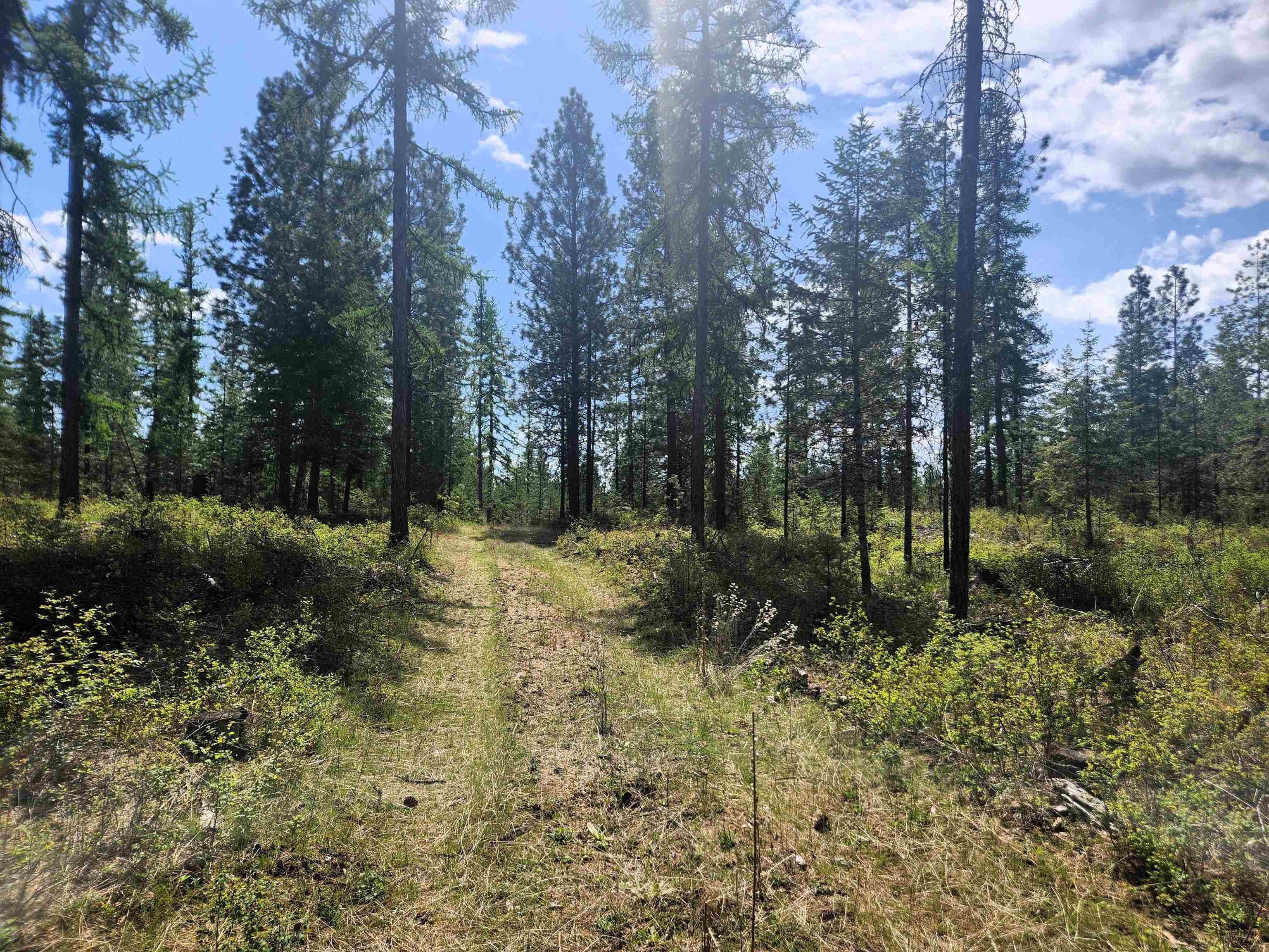 Property Photo: 3669 E Jump Off Joe Rd WA 99139