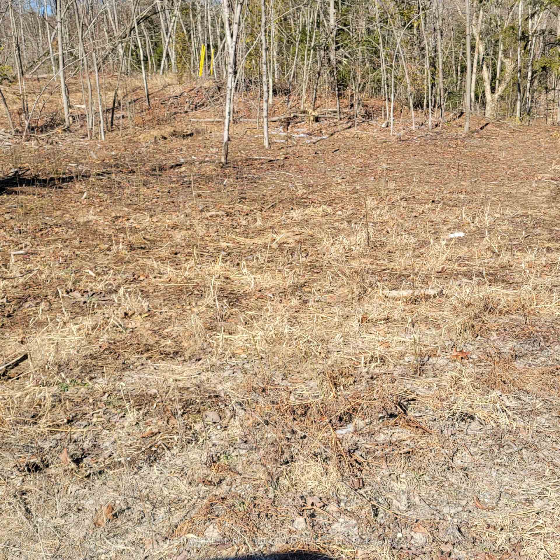 Property Photo: N/A Black River Road N ON K0K 3J0