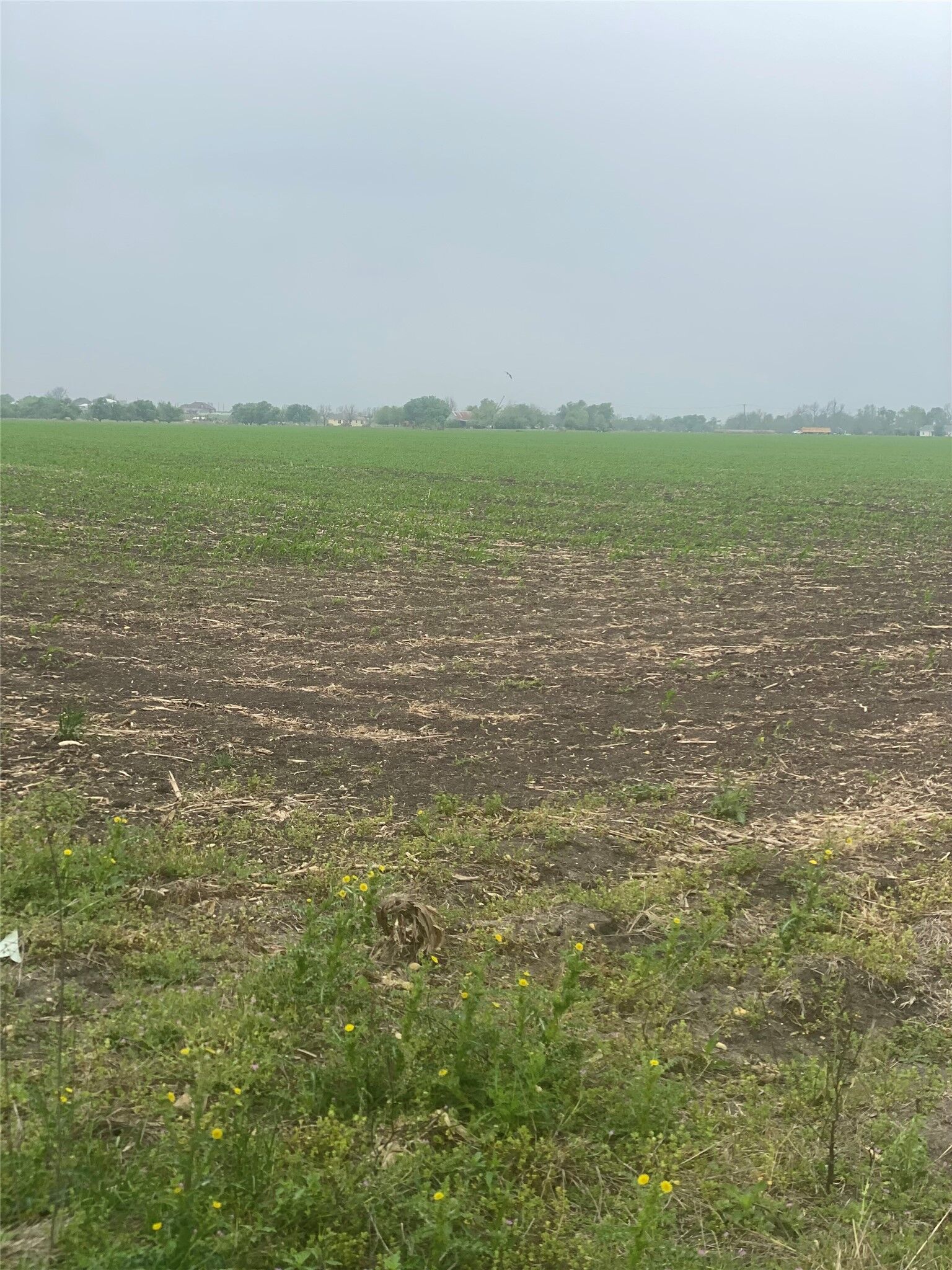 Property Photo:  3250 Fm 1331 & County Road 415  TX 76574 