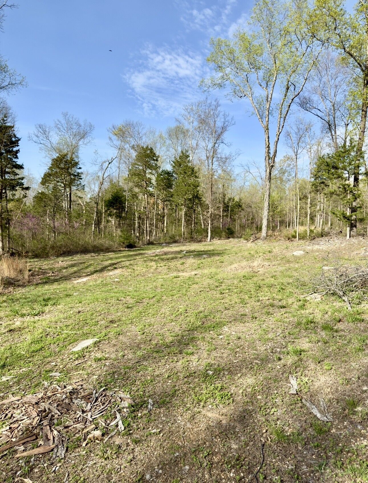Property Photo: 0 Buncombe Rd TN 37306