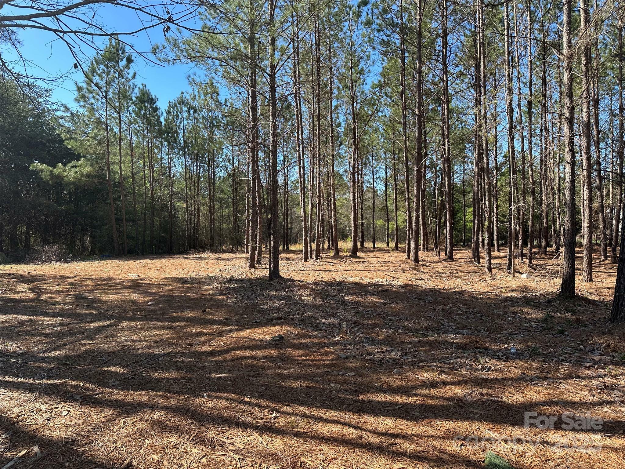 Property Photo: 4265 East Maiden Road NC 28650