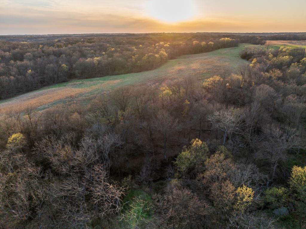 Property Photo: Tbd 221 Road MO 64682