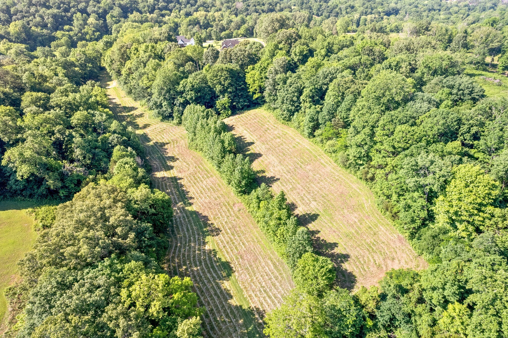 Property Photo: 645 McAdoo Creek TN 37043