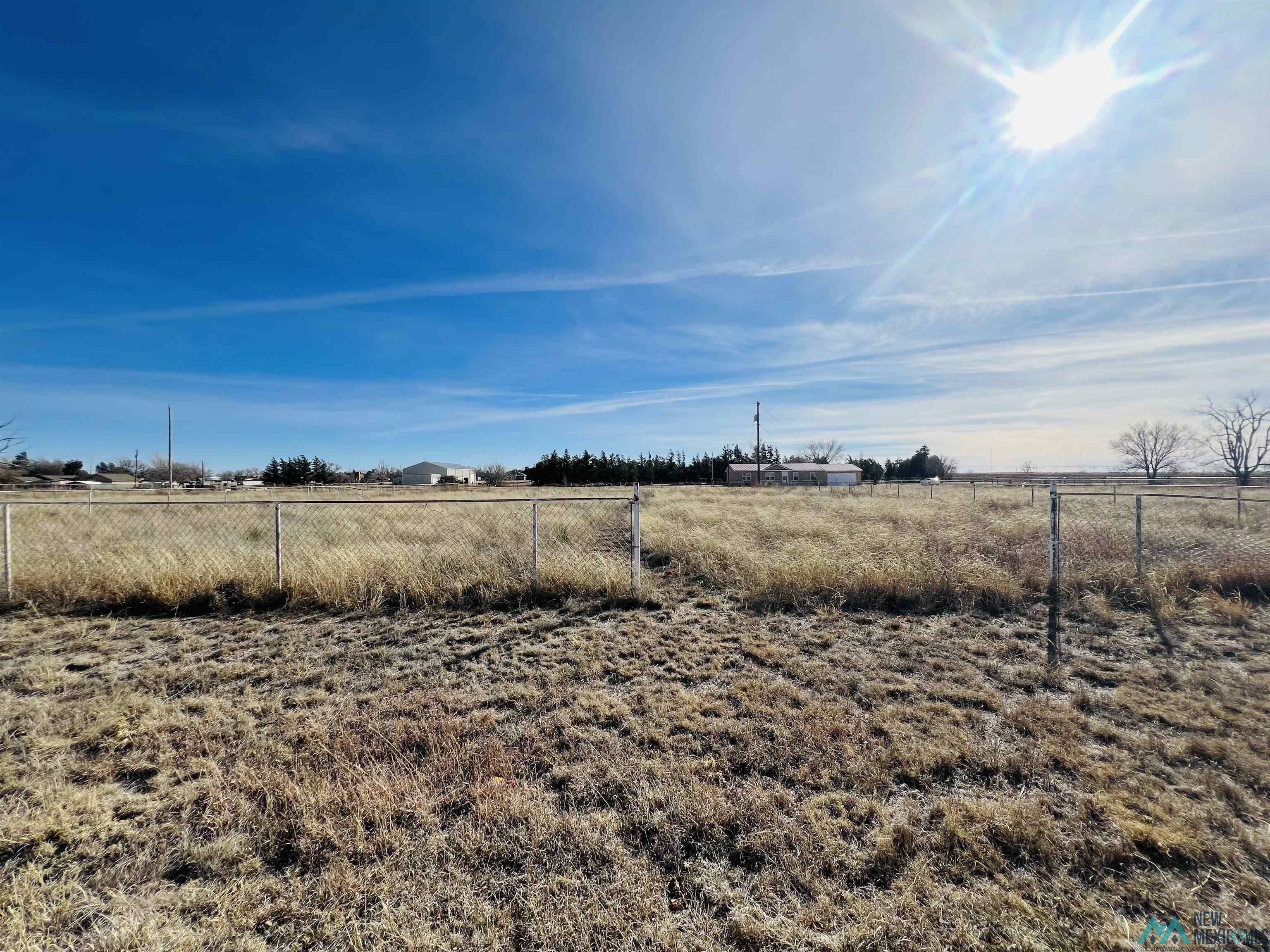 Property Photo:  229 Lynn Avenue  NM 88101 