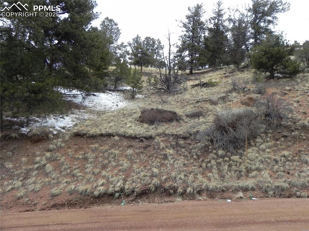 Property Photo:  153 Idlewild Drive  CO 80813 