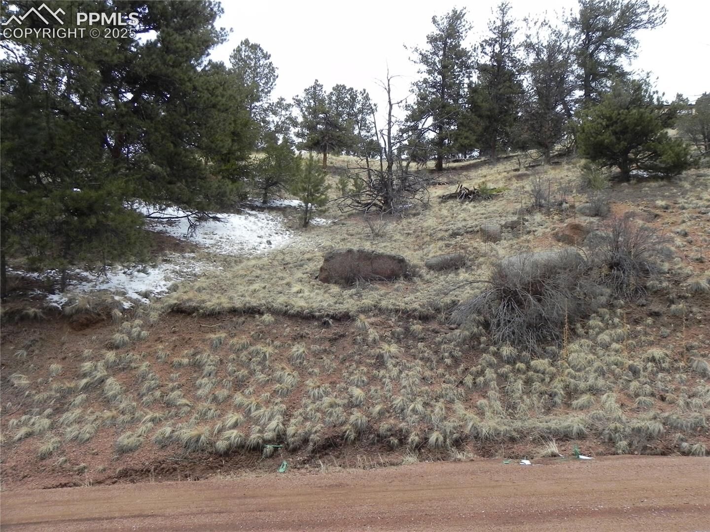 Property Photo:  153 Idlewild Drive  CO 80813 