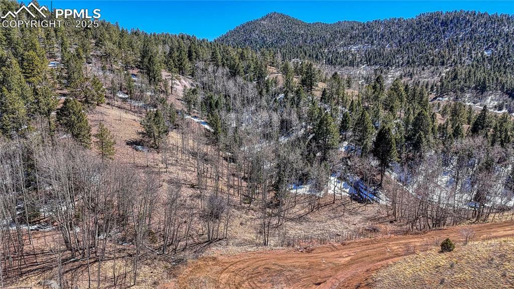 Property Photo: 513 Last Dollar Drive CO 80813