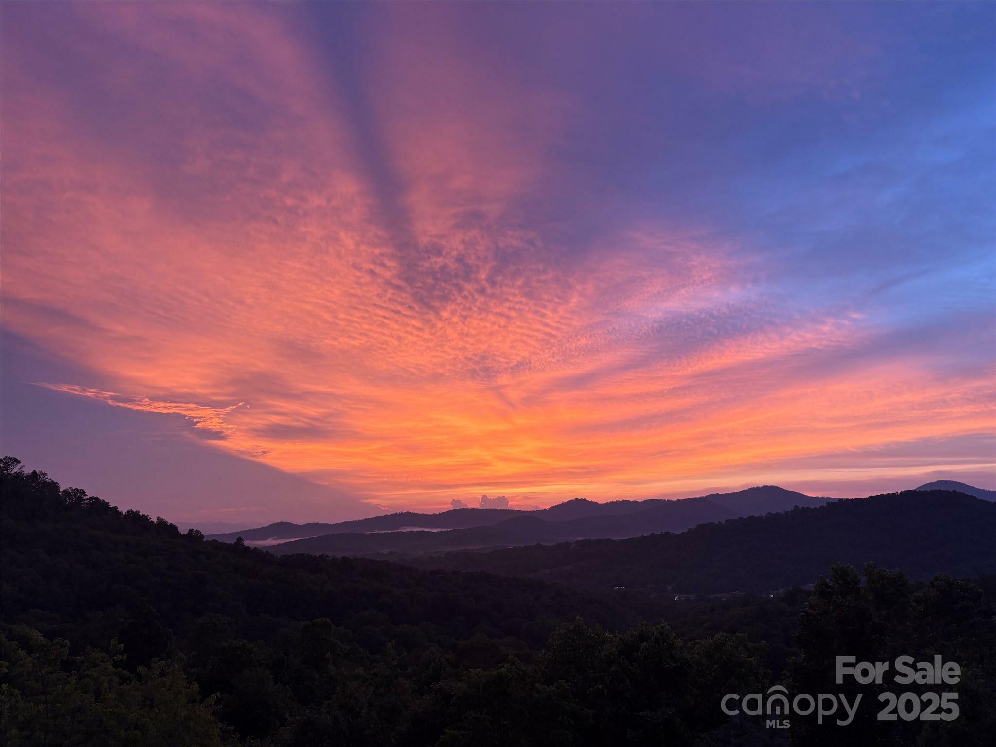 116 Dalya Road  Swannanoa NC 28778 photo