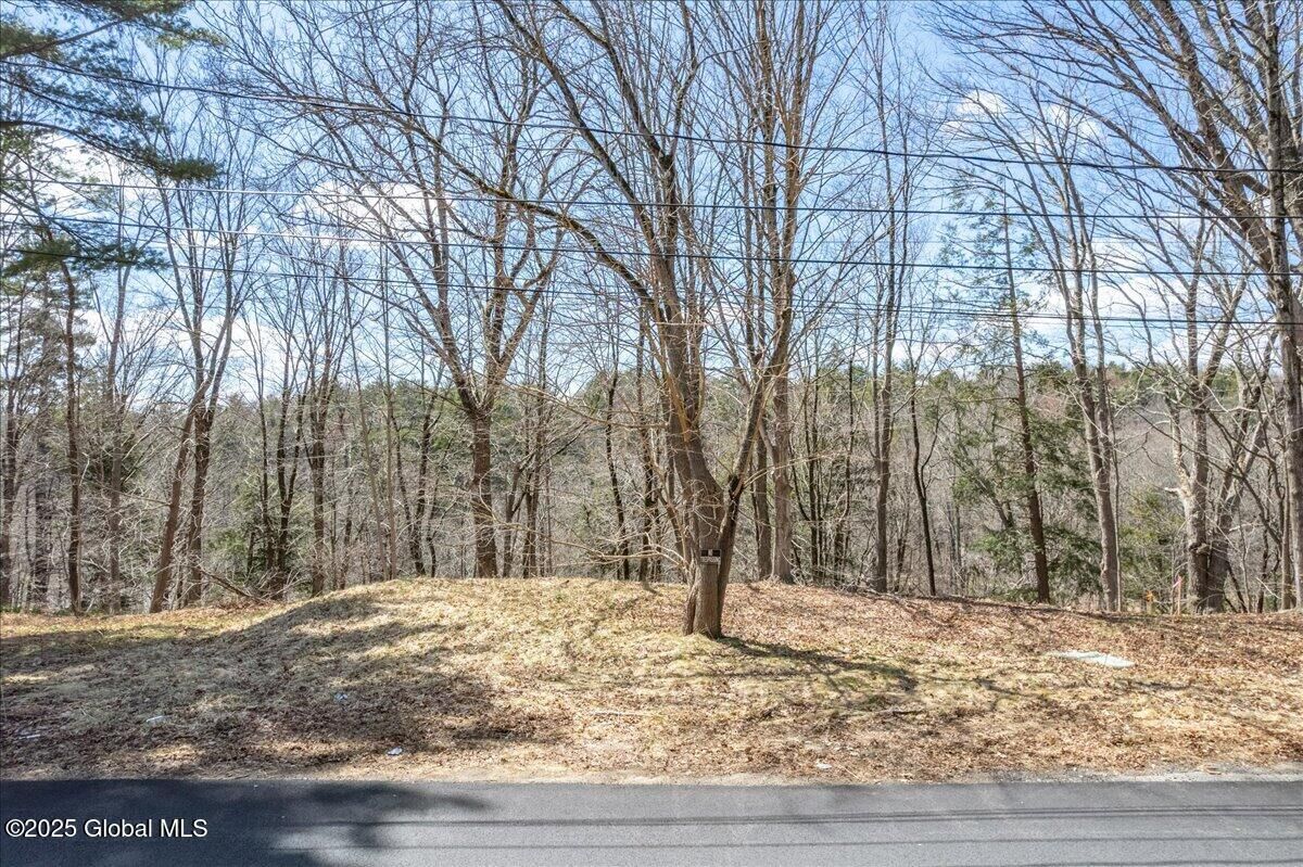 Property Photo:  99 Maple Avenue  NY 12020 