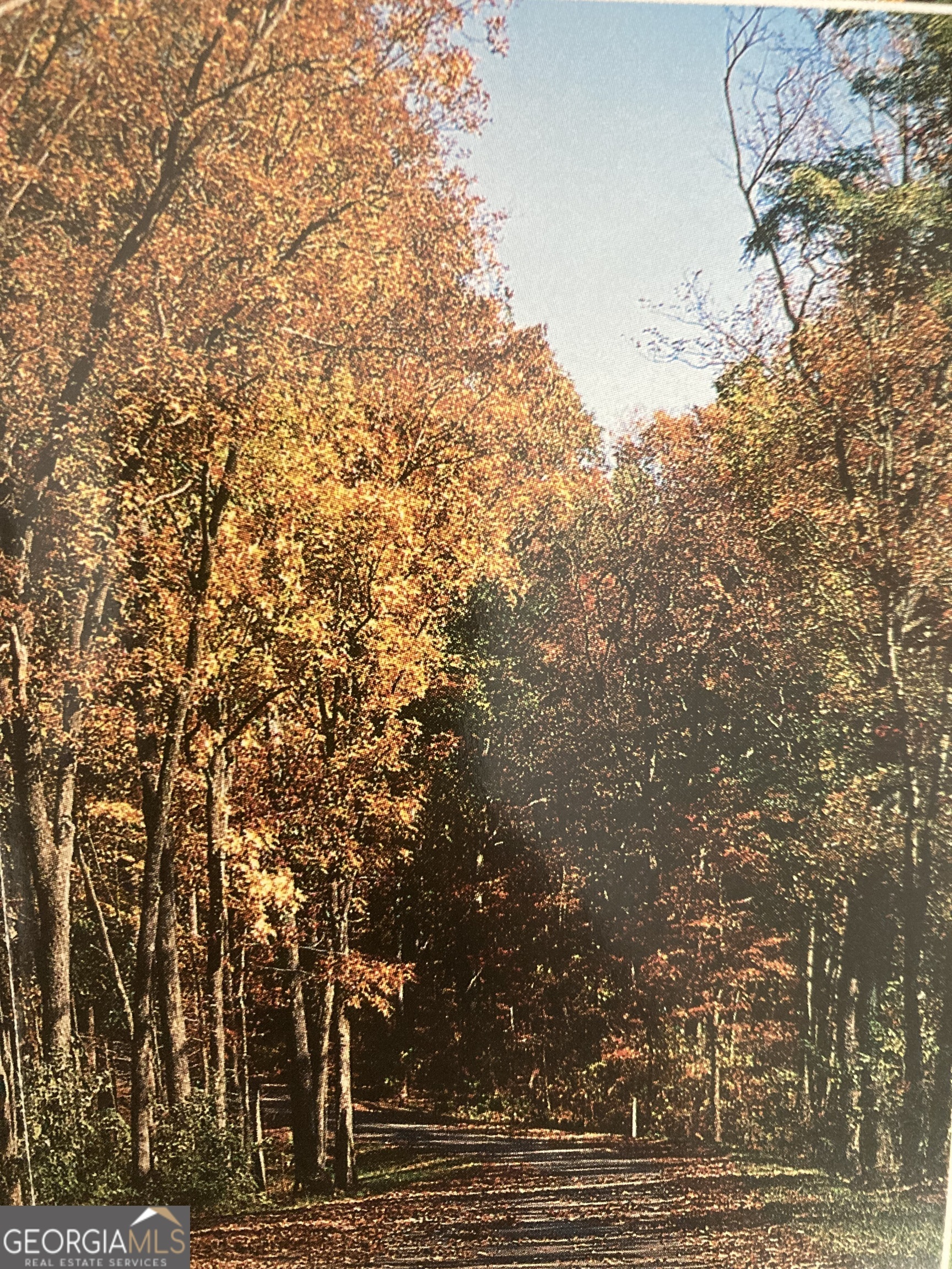 0 Andes Ridge  Jasper GA 30143 photo