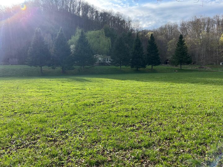 Property Photo:  1451 Robins Fork Rd  WV 24966 